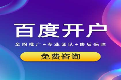 知名SEM服务公司成功案例分享